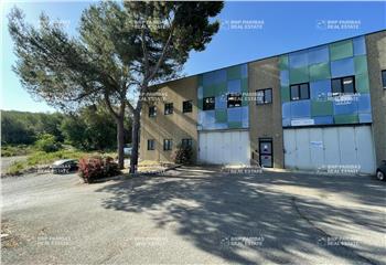 Location activité/entrepôt Vallauris (06220) - 329 m² à Vallauris - 06220