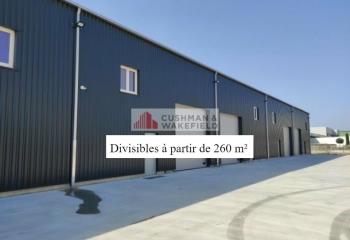 Location activité/entrepôt Vendargues (34740) - 1560 m² à Vendargues - 34740