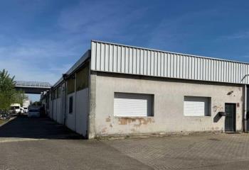 Location activité/entrepôt Vendenheim (67550) - 290 m² à Vendenheim - 67550