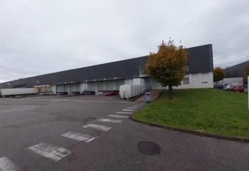 Location activité/entrepôt Vénissieux (69200) - 3584 m² à Vénissieux - 69200