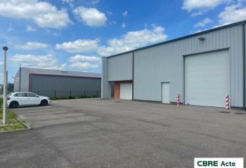 Location activité/entrepôt Ville-en-Vermois (54210) - 313 m² à Ville-en-Vermois - 54210