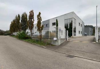 Location activité/entrepôt Vourles (69390) - 911 m²