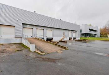 Location activité/entrepôt Wissous (91320) - 8047 m²