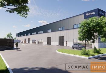 Location activité/entrepôt Wissous (91320) - 3787 m² à Wissous - 91320