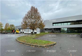 Location activité/entrepôt Wissous (91320) - 6190 m²