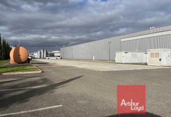 Location terrain Colomiers (31770) - 6000 m² à Colomiers - 31770