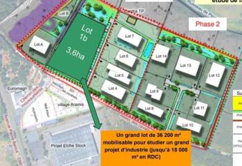 Location terrain Saint-Paul-lès-Dax (40990) - 36000 m² à Saint-Paul-lès-Dax - 40990