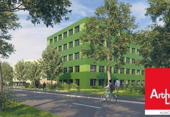 Bureau à vendre Schiltigheim (67300) - 805 m² à Schiltigheim - 67300