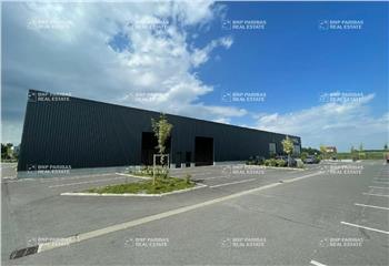 Activité/Entrepôt à vendre Annoeullin (59112) - 1000 m² à Annoeullin - 59112