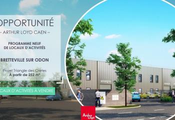 Activité/Entrepôt à vendre Bretteville-sur-Odon (14760) - 348 m² à Bretteville-sur-Odon - 14760