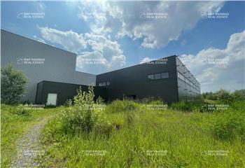 Activité/Entrepôt à vendre Comines (59560) - 10068 m² à Comines - 59560