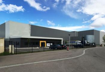 Activité/Entrepôt à vendre Ensisheim (68190) - 8039 m²