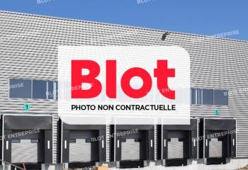 Activité/Entrepôt à vendre Guénin (56150) - 560 m² à Guénin - 56150