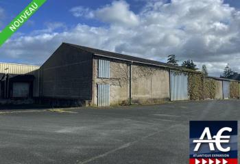 Activité/Entrepôt à vendre Liré (49530) - 2700 m² à Liré - 49530