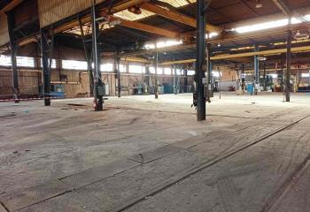 Activité/Entrepôt à vendre Migennes (89400) - 11500 m² à Migennes - 89400