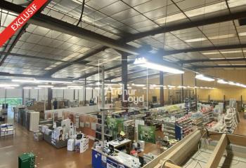 Activité/Entrepôt à vendre Mondreville (77570) - 6300 m² à Mondreville - 77570