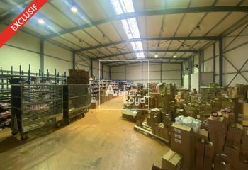 Activité/Entrepôt à vendre Moret-sur-Loing (77250) - 3000 m² à Moret-sur-Loing - 77250