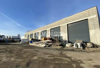 Activité/Entrepôt à vendre Mulhouse (68200) - 1000 m²