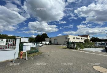 Activité/Entrepôt à vendre Mundolsheim (67450) - 1074 m² à Mundolsheim - 67450