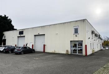 Activité/Entrepôt à vendre Mundolsheim (67450) - 1100 m² à Mundolsheim - 67450