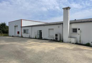 Activité/Entrepôt à vendre Nantes (44300) - 701 m² à Nantes - 44000