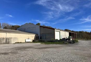 Activité/Entrepôt à vendre Niozelles (04300) - 3200 m² à Niozelles - 04300