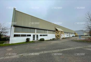 Activité/Entrepôt à vendre Obernai (67210) - 2480 m²