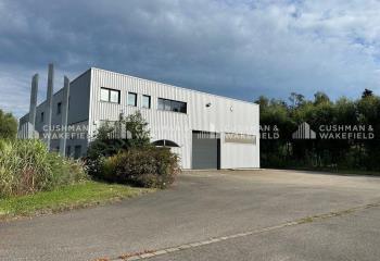 Activité/Entrepôt à vendre Ostheim (68150) - 1061 m² à Ostheim - 68150