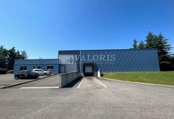 Activité/Entrepôt à vendre Saint-Vulbas (01150) - 595 m² à Saint-Vulbas - 01150