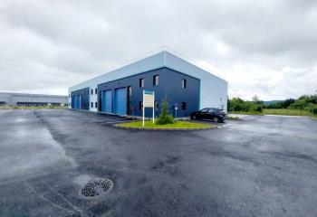 Activité/Entrepôt à vendre Saint-Vulbas (01150) - 2046 m²