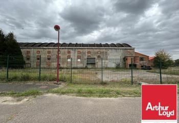 Activité/Entrepôt à vendre Teting-sur-Nied (57385) - 11383 m² à Teting-sur-Nied - 57385