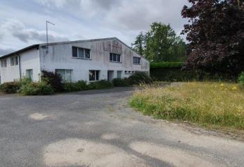 Activité/Entrepôt à vendre Villethierry (89140) - 1500 m² à Villethierry - 89140