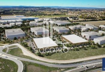 Terrain à vendre Entraigues-sur-la-Sorgue (84320) - 7972 m² à Entraigues-sur-la-Sorgue - 84320