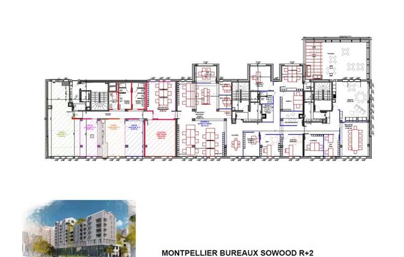 Location de bureau de 269 m² à Montpellier - 34000 plan - 1