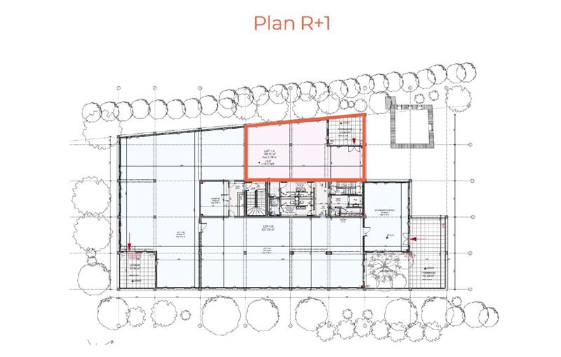 Location de bureau de 318 m² à Mougins - 06250 plan - 1