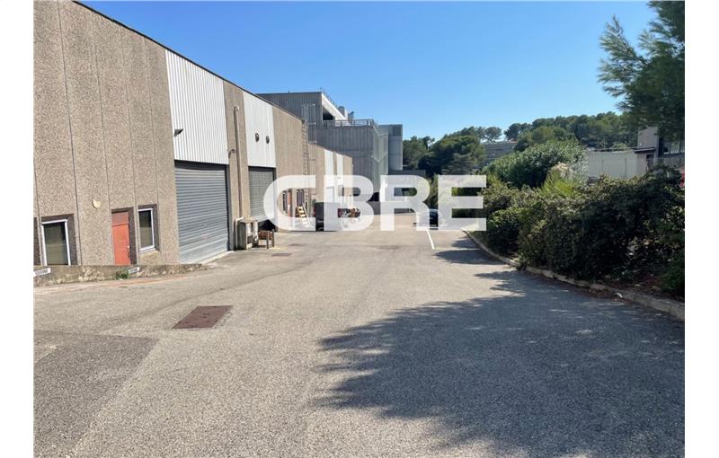 Location d'entrepôt de 481 m² à Antibes - 06600 photo - 1