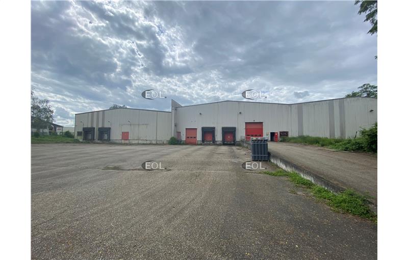 Location d'entrepôt de 7 122 m² à Illkirch-Graffenstaden - 67400 photo - 1