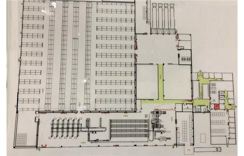 Location d'entrepôt de 8 529 m² à Montauban - 82000 plan - 1