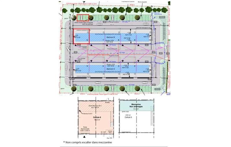 Entrepôt à acheter de 143 m² à Grandchamps-des-Fontaines - 44119 plan - 1