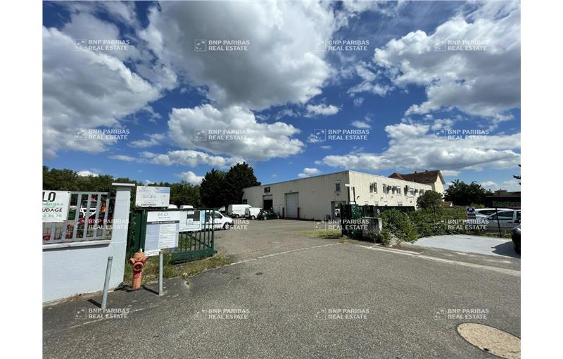 Achat d'entrepôt de 1 074 m² à Mundolsheim - 67450 photo - 1