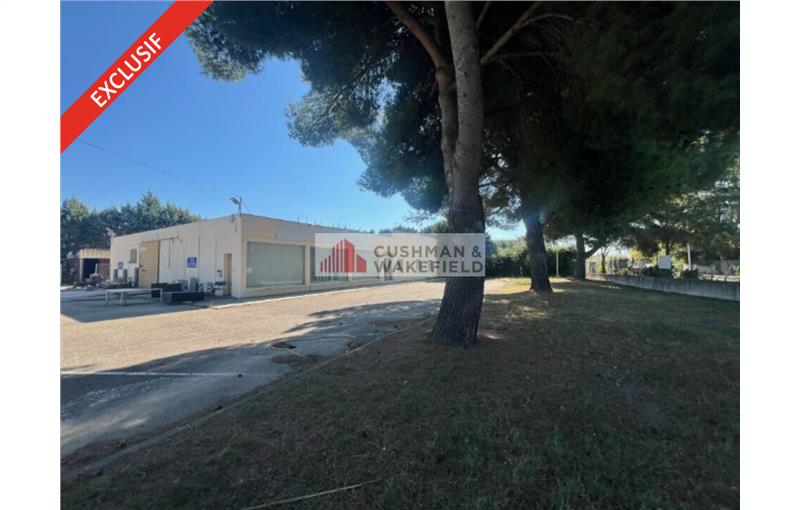 Entrepôt en vente de 670 m² à Nîmes - 30000 photo - 1