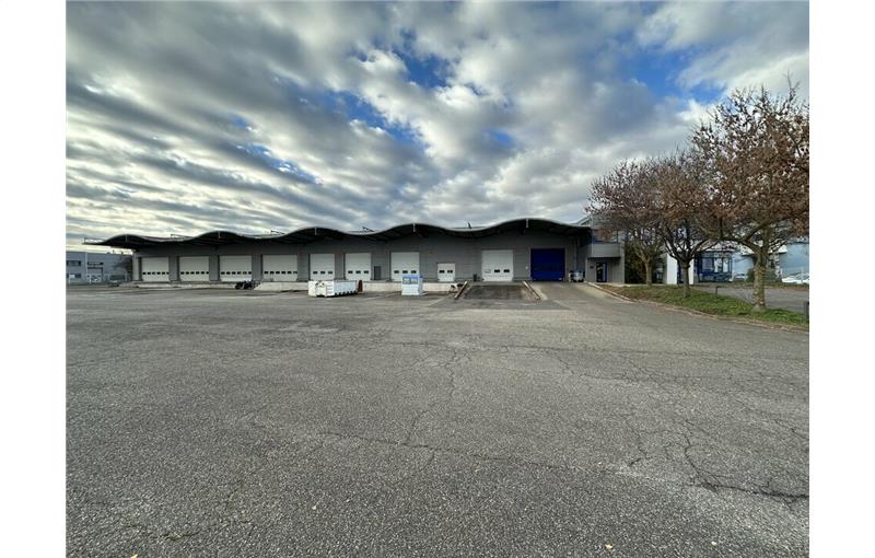 Achat d'entrepôt de 3 000 m² à Souffelweyersheim - 67460 photo - 1