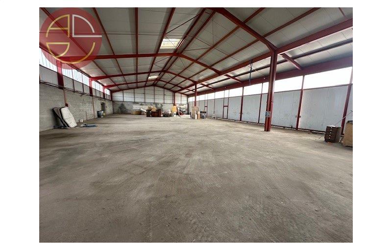 Vente d'entrepôt de 1 170 m² à Toulouse - 31000 photo - 1