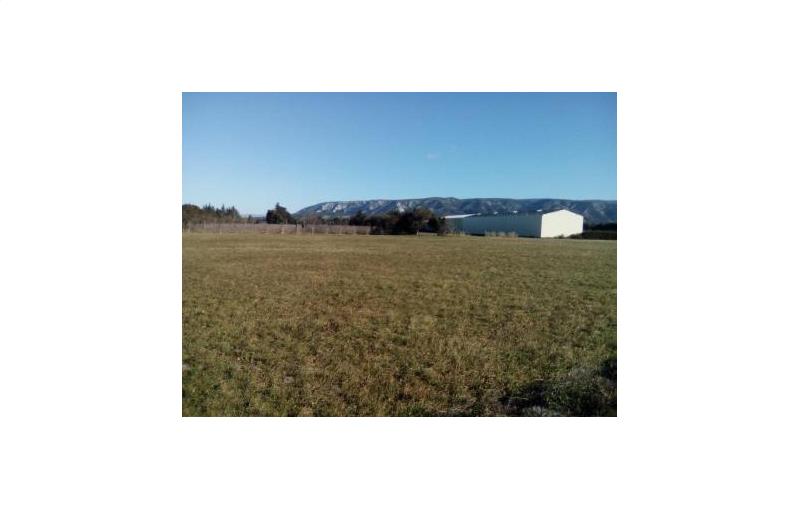 Vente de terrain de 43 000 m² à Cavaillon - 84300 photo - 1