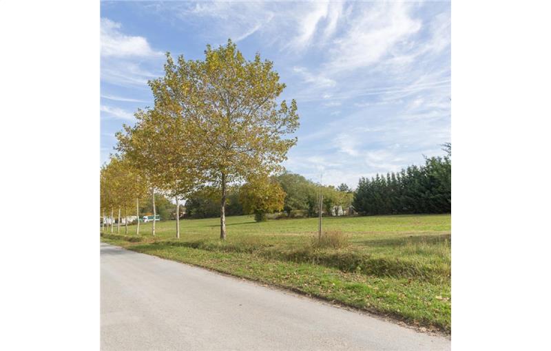 Vente de terrain de 7 000 m² à Drevant - 18200 photo - 1