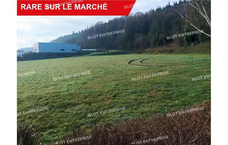 Vente de terrain de 6 068 m² à Hénon - 22150 photo - 1