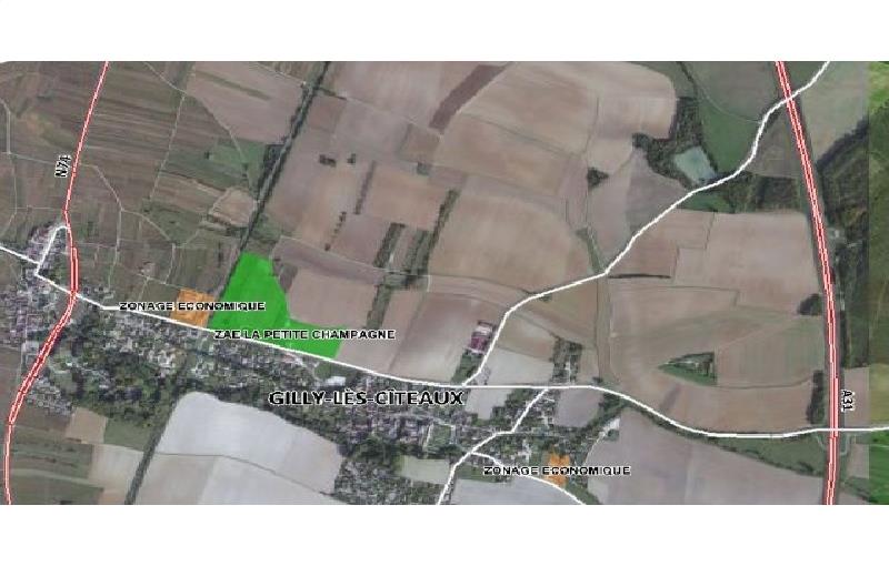 Vente de terrain de 30 000 m² à Neufchâteau - 88300 photo - 1