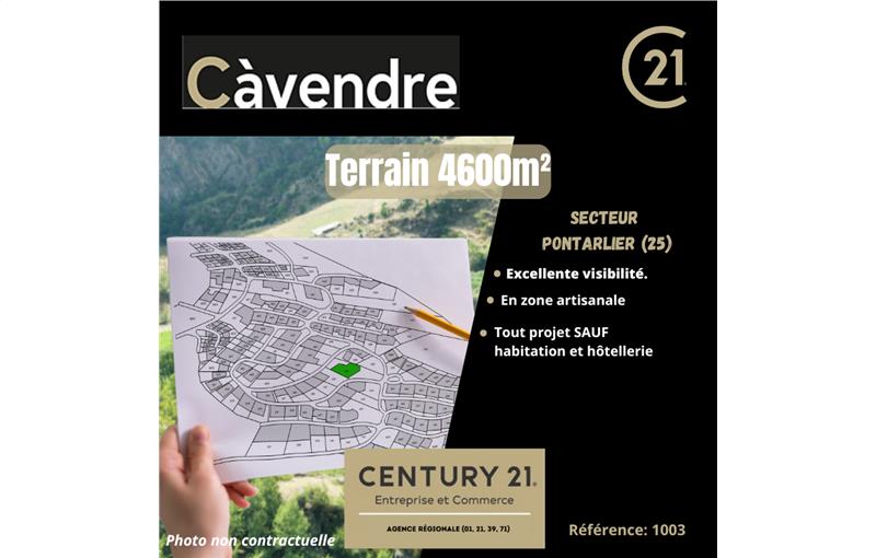 Vente de terrain de 4 600 m² à Pontarlier - 25300 photo - 1